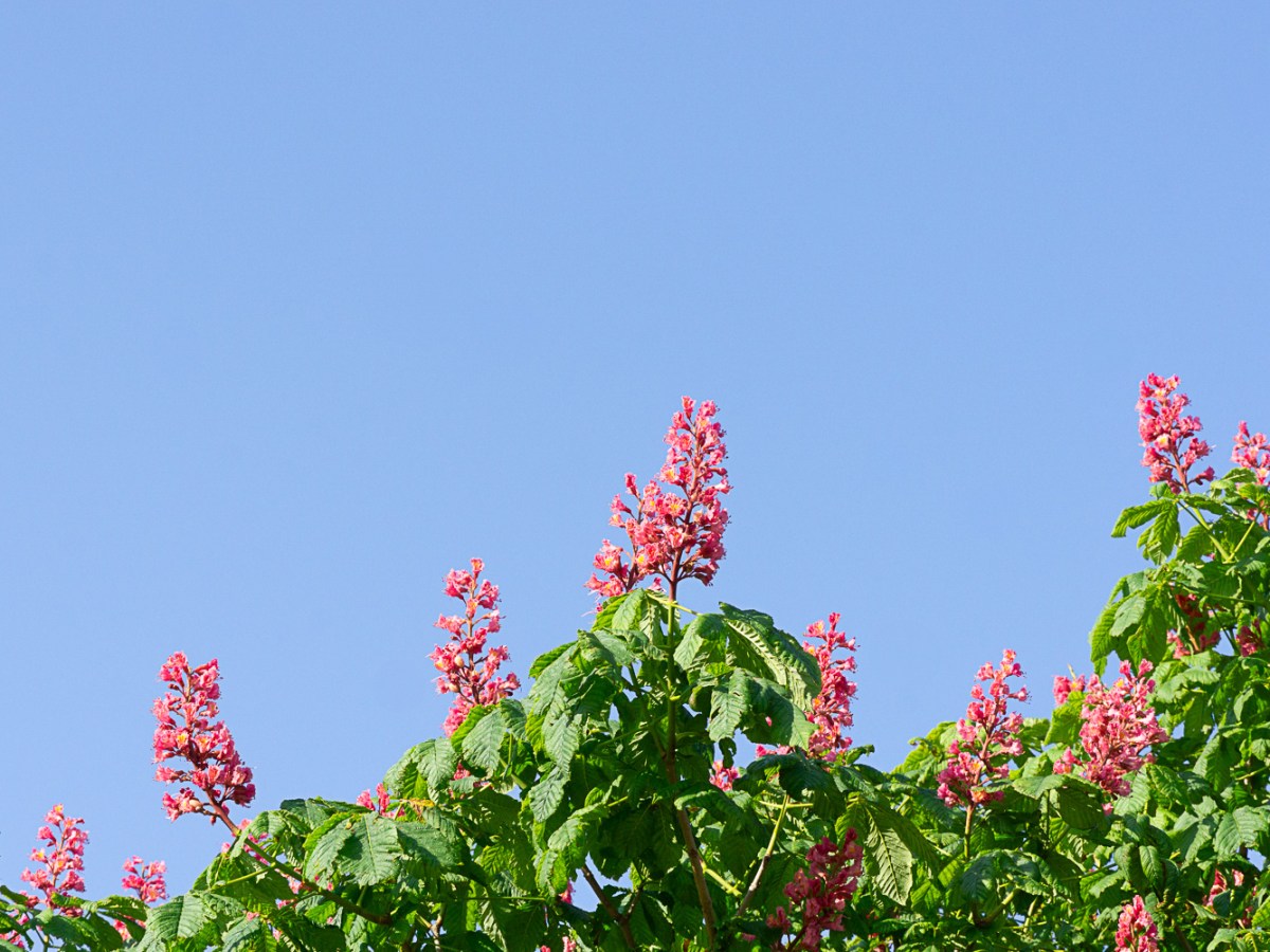 Greetings from Monhegan&nbsp;Island